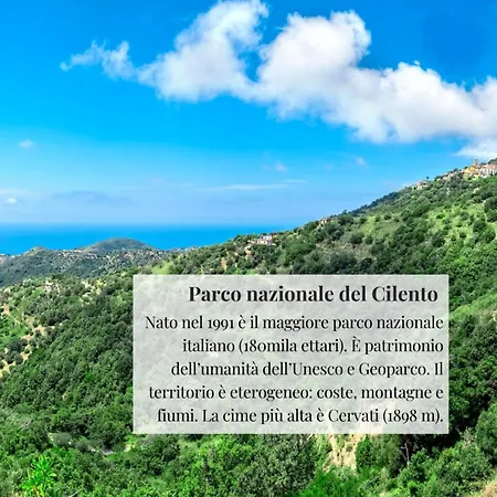 Gelsomina Maison-scario Cilento ヴィラ *